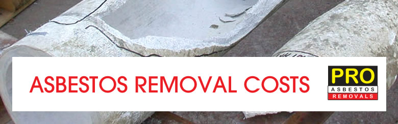 Asbestos Removal Cost
